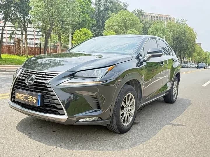Lexus NX 200 I Рестайлинг, 2021